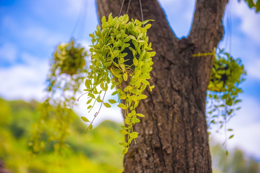 Crystal Wild Resort Panwa Phuket Εξωτερικό φωτογραφία