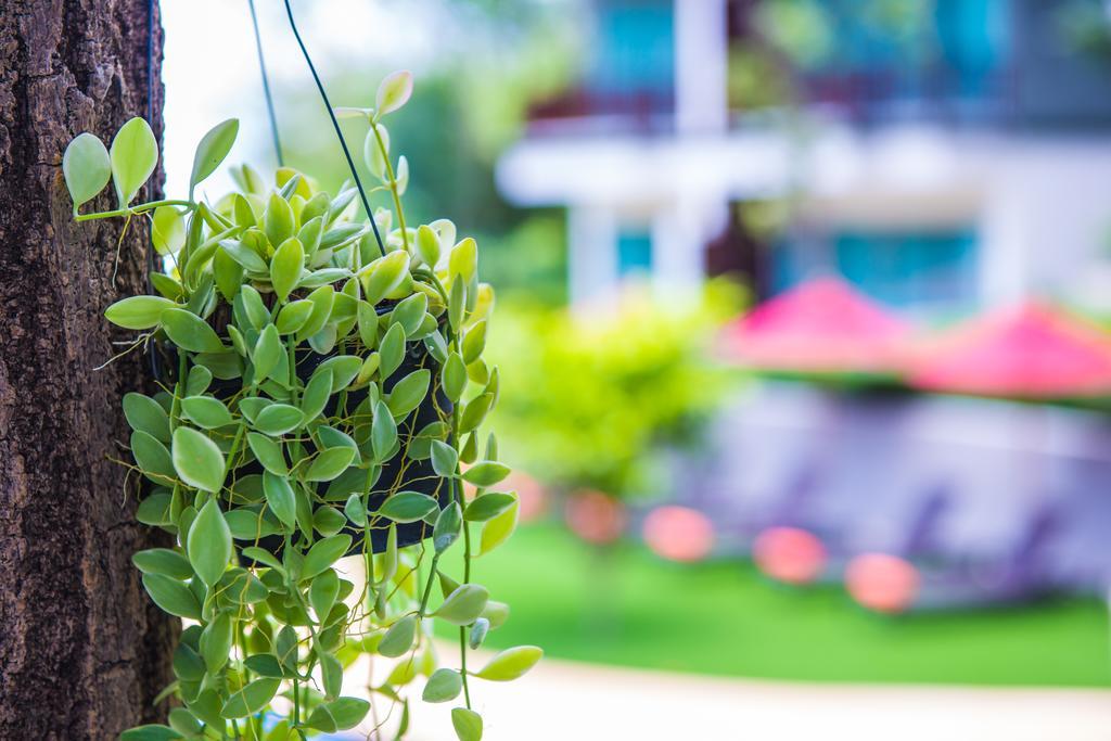 Crystal Wild Resort Panwa Phuket Εξωτερικό φωτογραφία